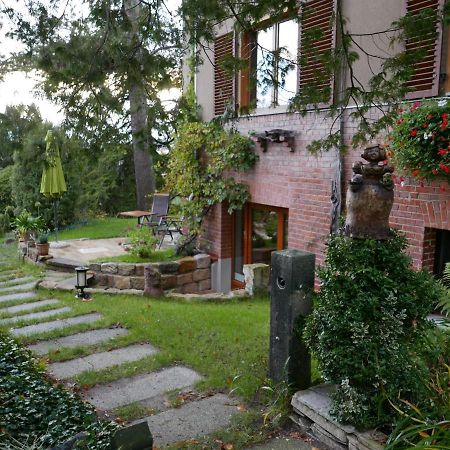 Ferienwohnung Dresden-Pillnitz - Elbhang-Villa - "Am Zuckerhut" Экстерьер фото